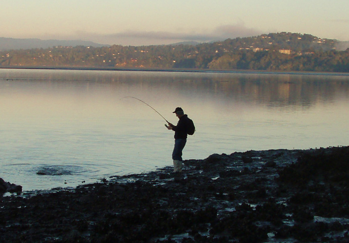 Stuart tussling with a stroppy kahawai.  Alan says that the rock oysters would simply devour tackle at high water.