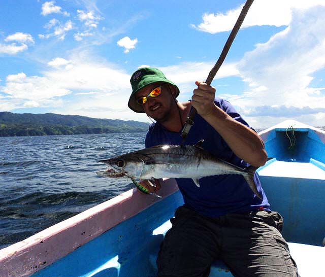 Just like giant mackerel with teeth.