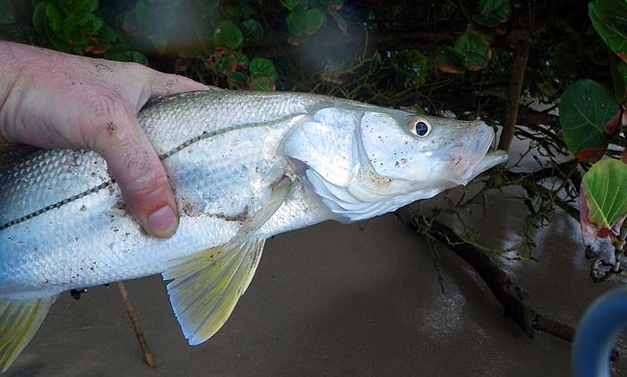 Another one for Rob.