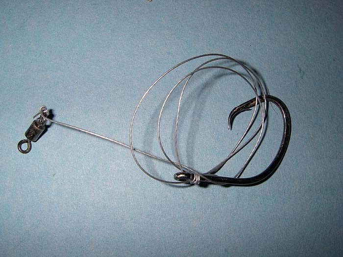 Circle hook to wire for toothy creatures.