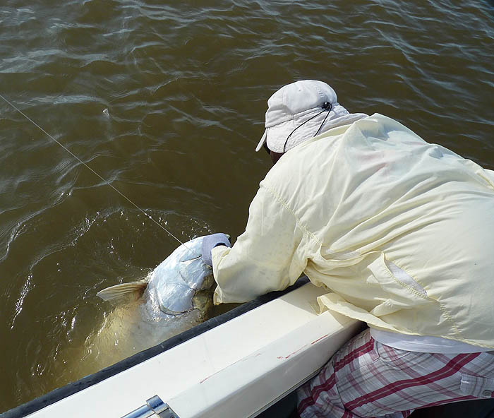 In fairness to the fish, this counts as one having been 'landed'.