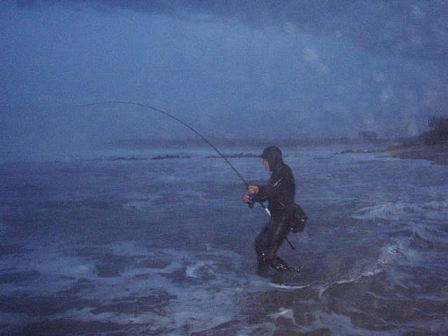 Mike Oliver, in protective clothing, into a fish.