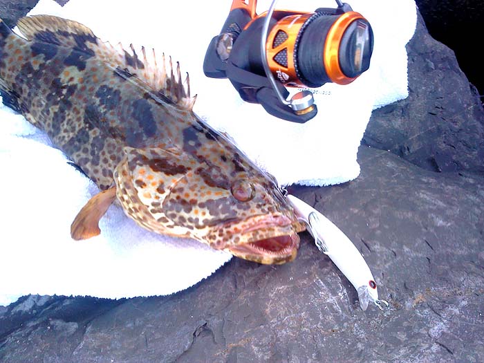 Nice lure and obviously works, but I think I might add a wire trace.