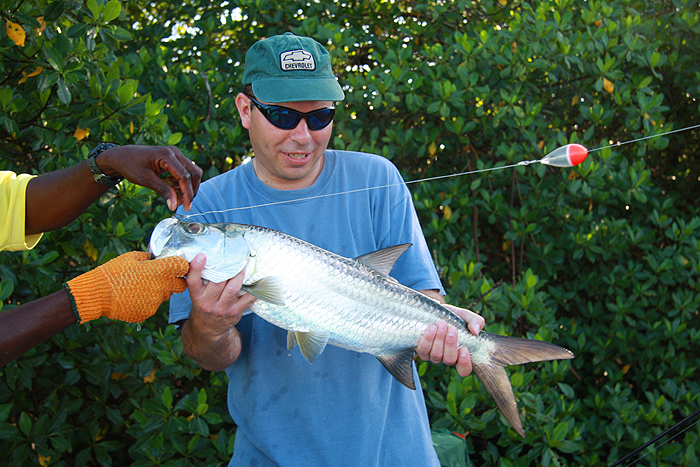 this one clearly took a float-fished livebait.