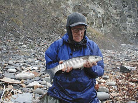 Thicklipped mullet like this are often preoccupied with particular small items of food.  This one was caught on an imitation maggot when feeding on the larvae of seaweed flies.