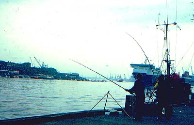 Fishing for codling, coalfish, flounders and eels in the estuary of the river Tyne.