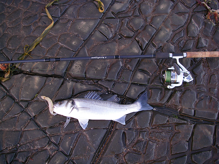 On a weedless Slandra.